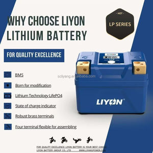Batería de Litio LIYON LP5 de Alto Rendimiento, Reemplazo para YTX4L YTZ5S, para Motocicletas de Dos Ruedas, Triciclos, UTV, ATV - Product Image 6
