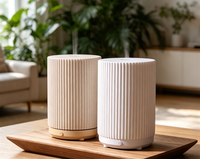 Petit diffuseur d'huiles essentielles avec une capacité de 80 ml, alimentation USB/électrique, utilisation sur table, pour la décoration de la maison et du bureau, cadeau