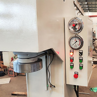 Presse hydraulique à bras unique de type C certifiée CE STK de 20 tonnes avec système servo CNC, pompe PLC, moteur 220V/380V 3KW