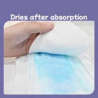 Insoftb échantillon gratuit anti-fuite Culotte Menstruelle En Coton Bio femmes pantalons sanitaires jetables ajuster période pantalon