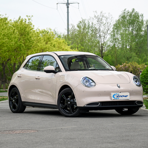 Great Wall Euler Good Cat 2024 todas las versiones coches eléctricos buen precio - Product Image 3
