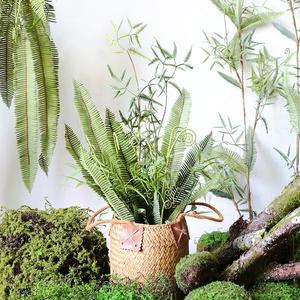 Planta Artificial, Pared Verde Artificial, Flores y Plantas Decorativas, Artículos de Jardinería, Helechos Artificiales para Fiestas - Product Image 3