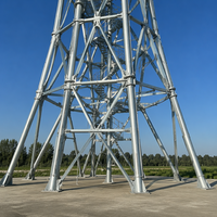 Grande tour de radar cylindrique, mât d'antenne, cadre de support externe, radôme sphérique en acier galvanisé pour aéroport et applications téléphoniques à distance