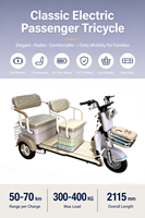 Tricycle électrique pour adultes à 2 places, tricycle électrique pour seniors, scooter de loisirs à 3 roues avec paniers avant et arrière