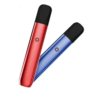 Wholesale OEM/ODM Custom Smoke Shop Accessories Vapers puffs Smoke Device Wape Lighters