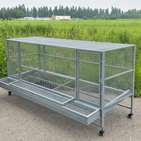 Cage à poules à fond incliné pour la collecte des œufs – Conception pratique et ergonomique pour la collecte quotidienne des œufs et le travail d'élevage en ferme