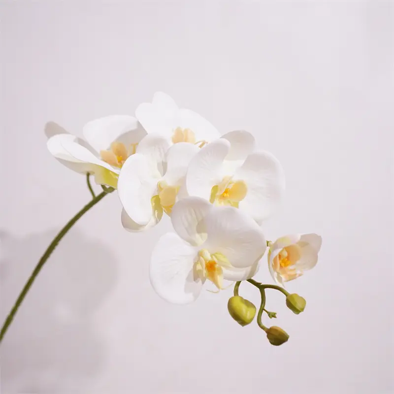 Alta qualidade flor artificial 7 Cabeça phalaenopsis mesa de jantar ornamentos florais sala bonsai decoração falsa flor