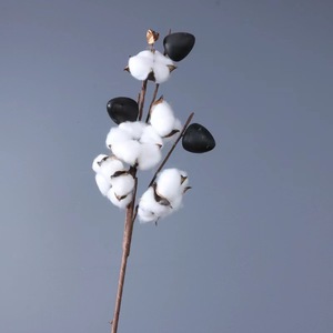 Branches naturelles de <span class=keywords><strong>coton</strong></span> <span class=keywords><strong>séchées</strong></span> fait à la main, vente en gros, 100g, pour décoration de maison, <span class=keywords><strong>bouquet</strong></span> de <span class=keywords><strong>fleurs</strong></span> <span class=keywords><strong>séchées</strong></span>, vente en gros - Product Image 3