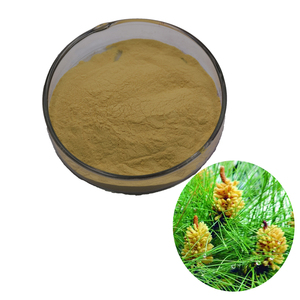 100% natura Cell-Rotto In Supplemento di Salute Interruzione Shell-Rotto Polline di Pino In Polvere 10% di Proteine - Product Image 1