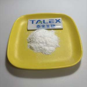 Poudre de probiotiques Lactobacillus Helveticus lyophilisée - Product Image 3