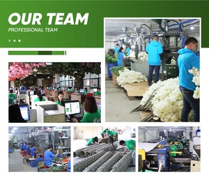 <span class=keywords><strong>Palmera</strong></span> Artificial Tropical al por Mayor para Decoración de Parques Temáticos y Acuáticos, Hojas de <span class=keywords><strong>Palmera</strong></span> Artificiales - Product Image 5