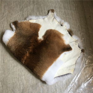 Fourrure de lapin <span class=keywords><strong>chinchilla</strong></span> naturelle, véritable et brute, à vendre à <span class=keywords><strong>prix</strong></span> réduit - Product Image 3