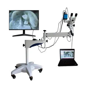 Médical Numérique Gynécologique Examen Colposcope HD Vidéo Vaginale Caméra pour Gynécologie Vagin Endoscope