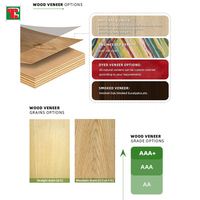 Touche en bois palissandre tilleul 2Mm 0.4Mm Sycamore carte fraise acajou porte peau érable placage pour planches à roulettes guitare