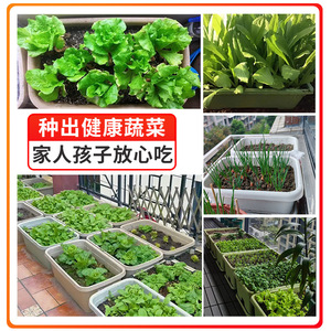 <b>Rectangular</b> Plastic Flower <b>Pot</b> Green Beige Resin Balcony Garden <b>Planting</b> Container Home Use - Product Image 4