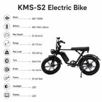 Vélo électrique à pneus larges de 20 pouces, 48V 750W, batterie au lithium 15Ah, frein à disque double, vélo électrique pour les trajets en ville