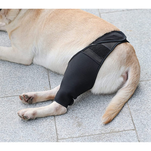 Protectores de Rodilla y Piernas para Perros, Protectores para Tratamiento de Mascotas, Protectores para Cirugía de Perros, Soportes Protectoras para Piernas, Se Puede Personalizar con Logotipo - Product Image 3