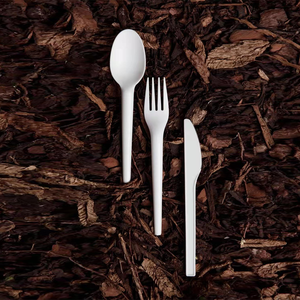 Cucchiaio da tè usa e getta <span class=keywords><strong>di</strong></span> peso medio posate confezionate singolarmente verde bianco cucchiaino <span class=keywords><strong>di</strong></span> <span class=keywords><strong>plastica</strong></span> nera - Product Image 3