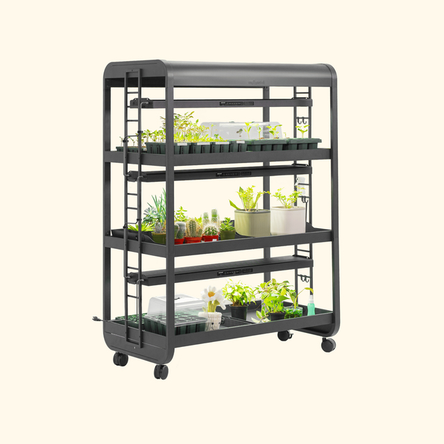 Wholesale Ultimate Indoor Grow Light Garden Rack Smart LED Plant Stand with Adjustable Shelves for Herbs Microgreens Houseplants
