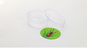 Outils d'expériences scientifiques d'aventure en plein air pour enfants - Loupe transparente, boîte d'observation des insectes - Product Image 5