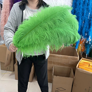 <span class=keywords><strong>Plumas</strong></span> <span class=keywords><strong>de</strong></span> avestruz grandes largas naturales <span class=keywords><strong>de</strong></span> 60-65cm al por mayor para boda, fiesta, comedor, mesa, centro, jarrón, decoración, lámpara <span class=keywords><strong>de</strong></span> casa, pluma - Product Image 4