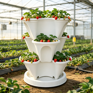Maceta <span class=keywords><strong>de</strong></span> Plástico Resistente para Fresas, Económica, con Múltiples Aberturas, para Jardín y Hogar - Product Image 1