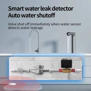 Tüm ev için 433MHz kablosuz su sızıntı alarmı sistemi, DN15 DN20 DN25 vanalar, su sensörü ve uzaktan kumanda - Product Image 4