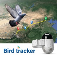 Traceur GPS hors ligne Soaring Hawk Logger sans abonnement pour la fauconnerie, la chasse et la mémorisation des itinéraires