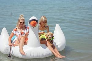 Flotador Inflable <span class=keywords><strong>en</strong></span> Forma de <span class=keywords><strong>Cisne</strong></span>, Color Blanco, de Vinilo/PVC, Capacidad <100kg, para Piscina o <span class=keywords><strong>Lago</strong></span>, Venta Caliente de Fábrica Waterhan - Product Image 5