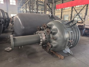 เครื่องปฏิกรณ์แบบขดลวดลิมเพ็ตขนาด 1000 ลิตร พร้อมแกนกลางและมอเตอร์ขับเคลื่อนด้วยระบบแม่เหล็กไฟฟ้า - Product Image 3