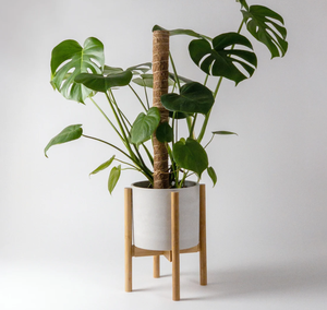 <span class=keywords><strong>Support</strong></span> de plante <span class=keywords><strong>en</strong></span> bambou <span class=keywords><strong>réglable</strong></span>, <span class=keywords><strong>hauteur</strong></span> extensible, porte-pot de fleurs pour pots de 9 à 12 pouces, <span class=keywords><strong>support</strong></span> de plante d'intérieur et d'extérieur - Product Image 2