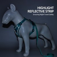 Harnais pour chien et chat hautement personnalisable, ensemble laisse et harnais résistant, réglable, de luxe, anti-traction