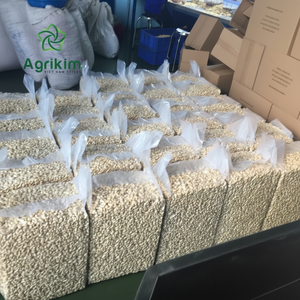 เม็ดมะม่วงหิมพานต์คุณภาพดีจากเวียดนามพร้อมใบรับรองการส่งออกเต็มรูปแบบ + 84 363565928 - Product Image 1