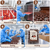 Fraises entières lyophilisées enrobées de chocolat noir, avec gomme arabique, prêtes à consommer, en vrac, pour la vente au détail, durée de conservation de 18 mois