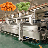 Machine à frire les snacks, fruits de mer et noix entièrement automatique de type bande continue, pour arachides grillées et enrobées