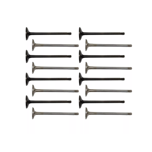 Pièce moteur 16x Jeu de soupapes d'admission et d'échappement Convient à 2.0 T L4 ESSENCE B4204T11 B4204T27 B4204T43 pour 09-18 2.0T <span class=keywords><strong>Volvo</strong></span> S60 S90 V40 V60 <span class=keywords><strong>V90</strong></span> - Product Image 1