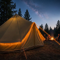 Lampe LED rechargeable pour camping extérieur, corde lumineuse avec télécommande et minuterie, cordon décoratif haute résistance pour tente