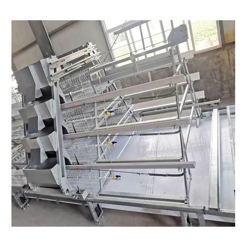 Hot Selling A Type Automatic Baby Layer Broiler Chicken Brooder Day Old Chick Battery Pullet Cage