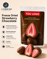 Gefreeze-droogde aardbeienchocolade snack premium fruit snoep 58g 40 zakjes 12 maanden houdbaarheid kant-en-klaar OEM/ODM Private Label