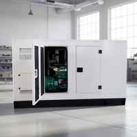 Groupe électrogène diesel stable 10kW-50kW avec alternateur en cuivre et régulation automatique de tension pour l'alimentation des usines