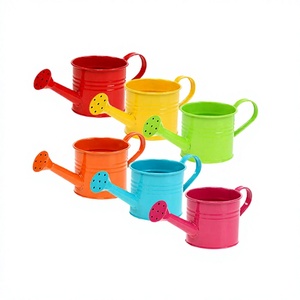 Ensemble de 6 arrosoirs en fer de qualité supérieure, taille personnalisée, multicolores, fabriqués par Home Arts - Product Image 1