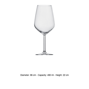 Vaso Degustaz Allegra de 49 cl con Certificación CE, Vaso Pasabahce de 10 cl, Altura 22 cm, Diámetro 8.3 cm - Product Image 3