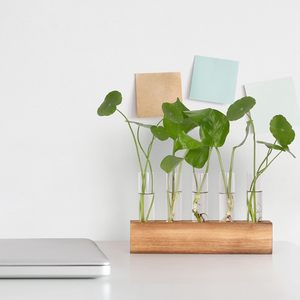 Stations de propagation, terrarium pour plantes avec support en bois, 5 vases en verre en forme de tubes à essai, cadeaux d'anniversaire pour femmes, mamans, amateurs de plantes - Product Image 5