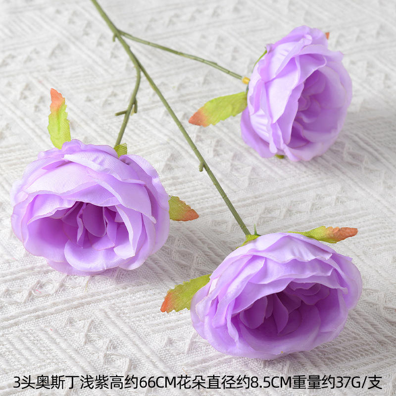 3 head austin light purple