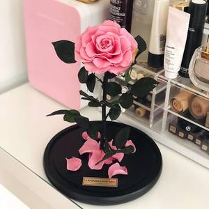 Rosas Preservadas Eternas Encantadas en Cúpula de Cristal con Luz LED, Flores Preservadas para Siempre - Product Image 3