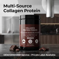 Fábrica ODM, Colágeno en Polvo Personalizado para la Recuperación Post-Entrenamiento y Apoyo Muscular, Marca Privada, Suministro al por Mayor OEM