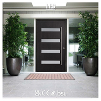 Portes pivotantes au design moderne, en bois massif avec insert en verre, ignifuges, écologiques, peintes pour villa, hôtel, appartement, entrée extérieure