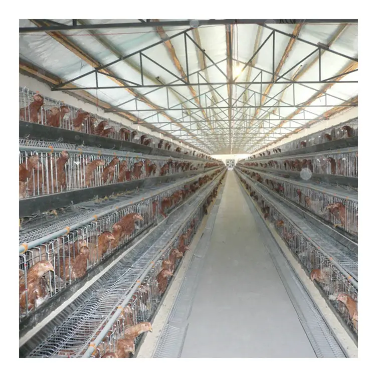 Galvanizli dayanıklı 4 katlı tarım tavuk pil kafesi yumurta katmanlı kafes çok fonksiyonlu sağlanan tavuk kafesi satılık 2.5-4.0 Mm