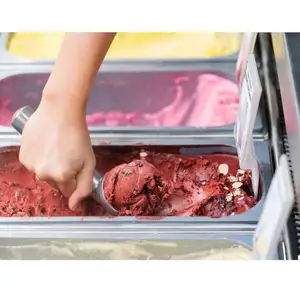 Expositor de helados, 20 sartenes, congelador, escaparate de helados