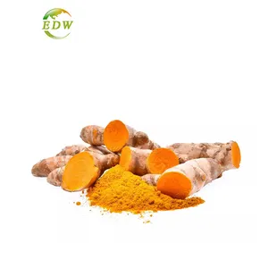 Hot Selling Food Grade Turmeric Extract 95% Powder Curcumin